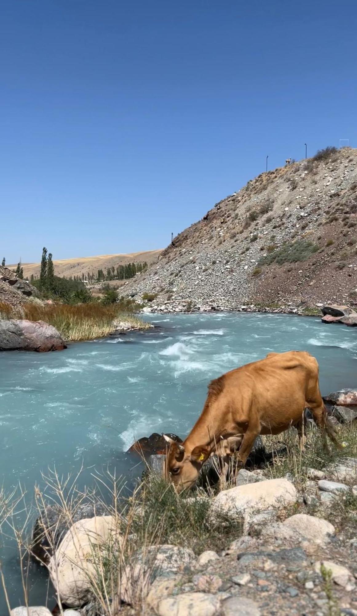 Mountain View Hot Spring Resort Bisjkek Buitenkant foto