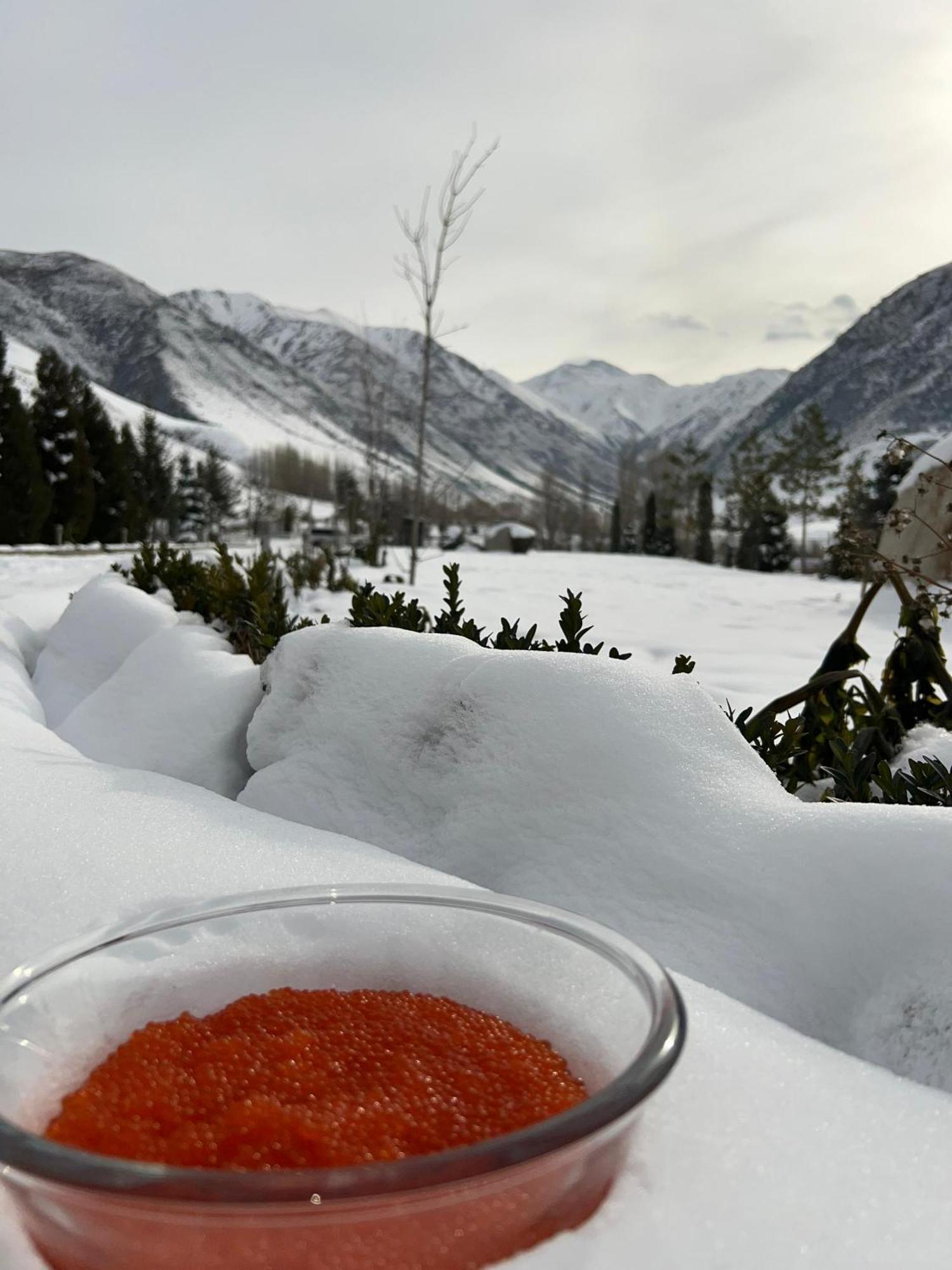 Mountain View Hot Spring Resort Bisjkek Buitenkant foto